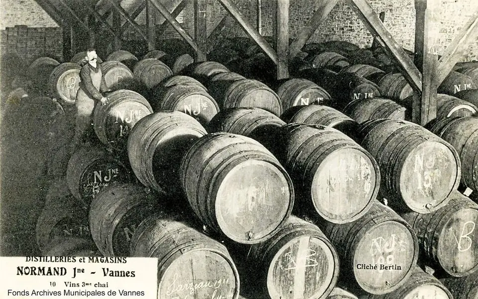 histoire de la vigne en Bretagne