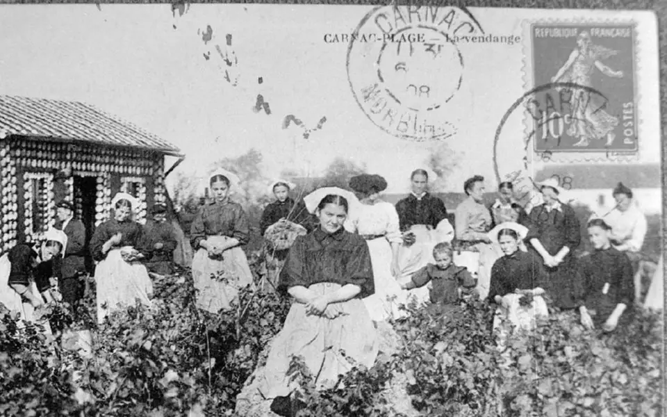 l’histoire du vin en Bretagne