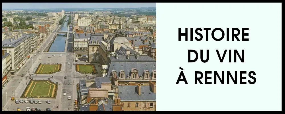 le vin à Rennes et l'histoire de la vigne