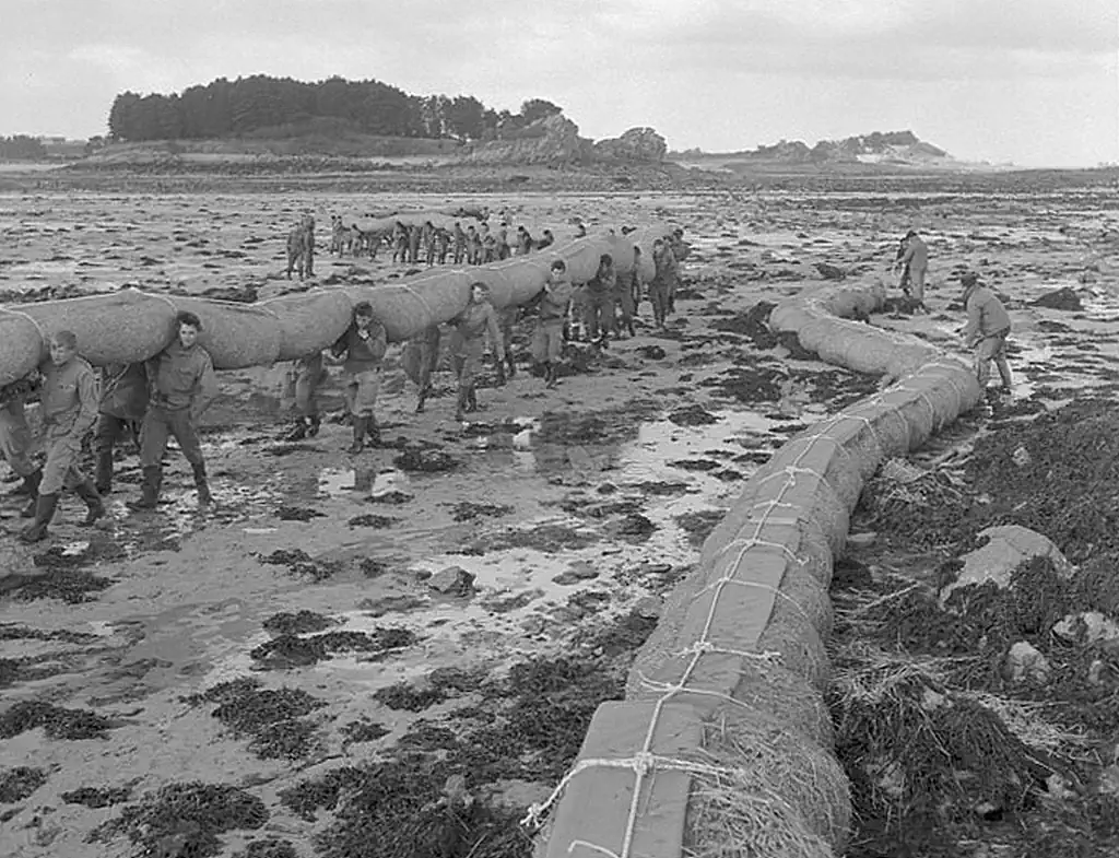 La baie de Roscoff pendant la marée noire